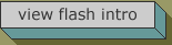 flash intro
